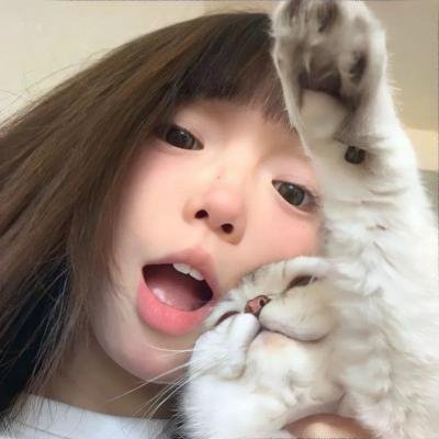 牢笼的熊